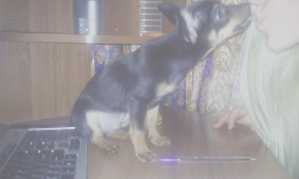 Катюша Нестерова ♡ ПаRтЕzАнк@ ♡ | Москва