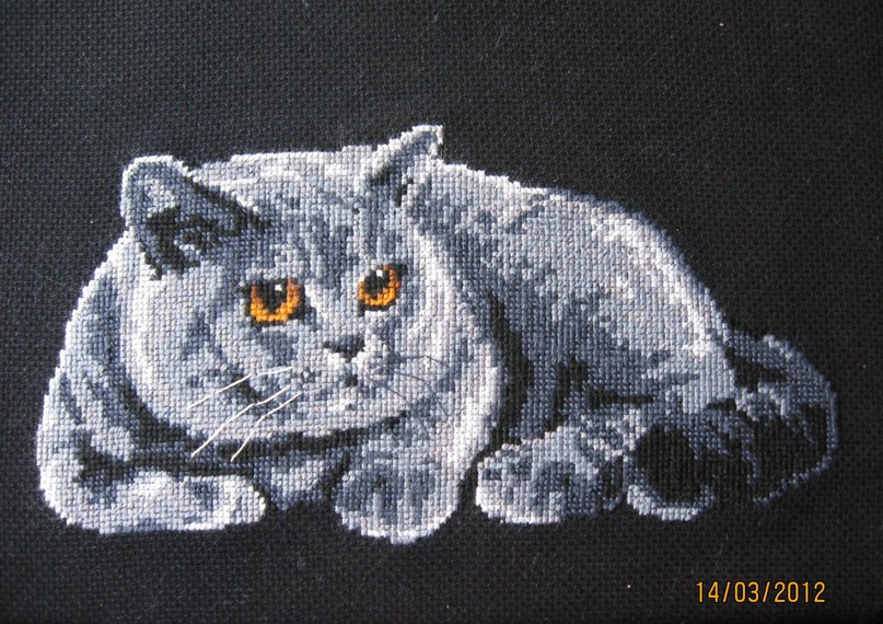 Юлия Ситдикова | Полевской