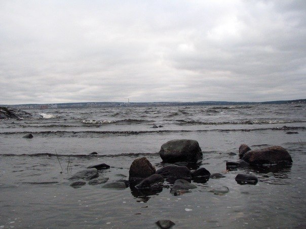 Елена Ельчинин | Петрозаводск