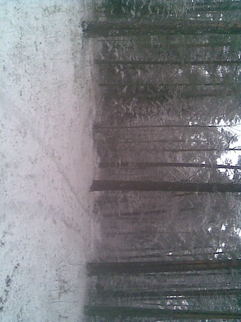 Серёга Present | Нижний Новгород