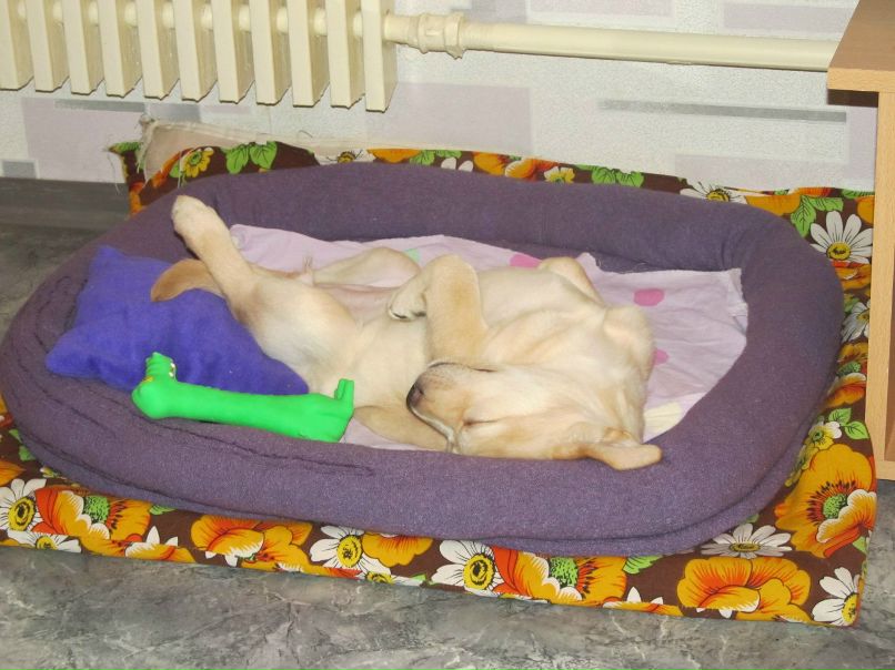 Алёна Чумакова | Харьков