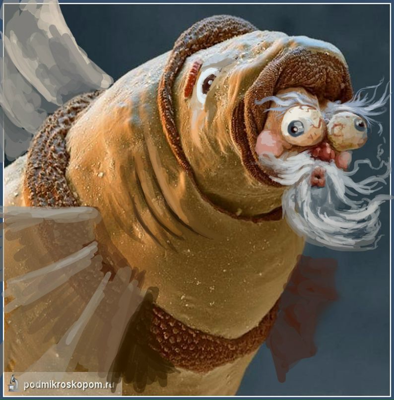 Олександэръ Косякин | 