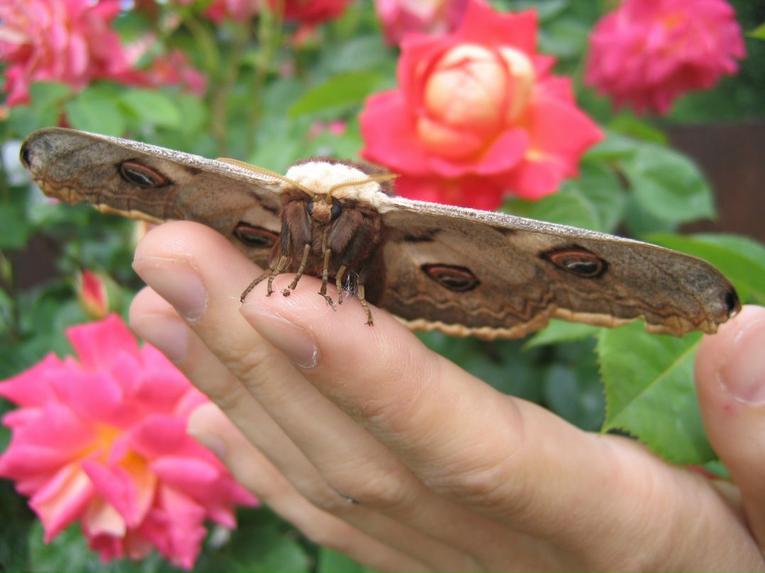 Константин Жабчинский K/// | 