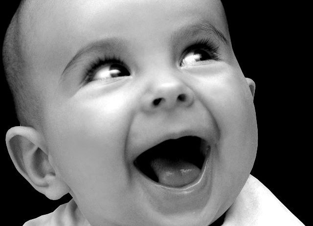 Николай Шульга | 