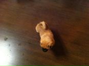 №12, Станислав Александрийский, 25.11.1986, 39 лет, Самара, Россия №12, Станислав Александрийский, 25.11.1986, 39 лет, Самара, Россия