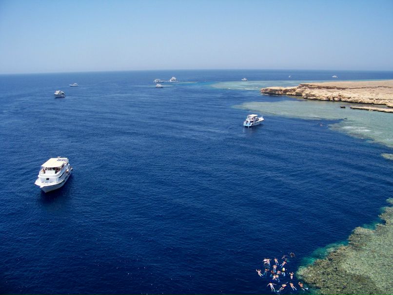 Надежда Шестопалова | Орехово-Зуево