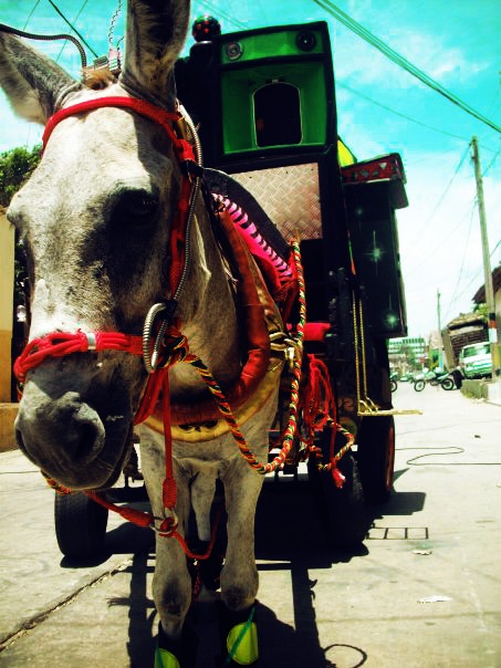 №98, Марко Теран №98, Марко Теран