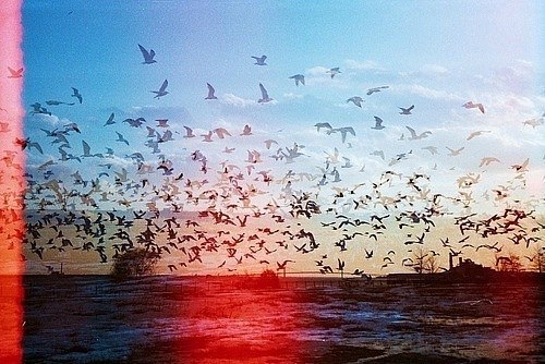 Julia Sergeeva | Санкт-Петербург