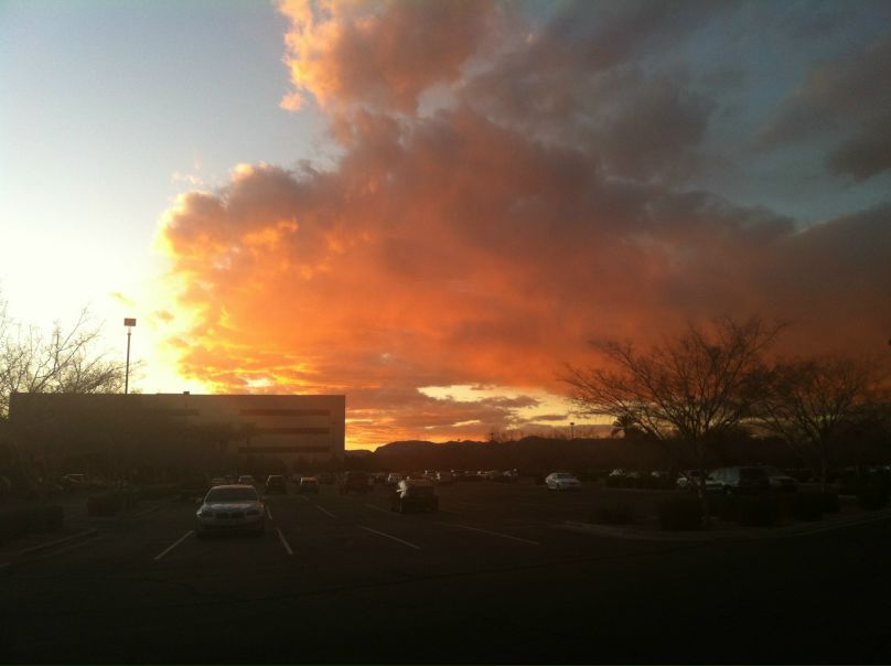 №25, Илья Альбрехт, 9.8.1981, Phoenix №25, Илья Альбрехт, 9.8.1981, Phoenix