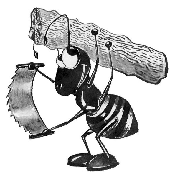 №1, Андрей Катков, 3.11, Санкт-Петербург №1, Андрей Катков, 3.11, Санкт-Петербург