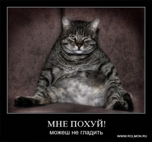 Андрей Егоров Фёдрыч | Одесса