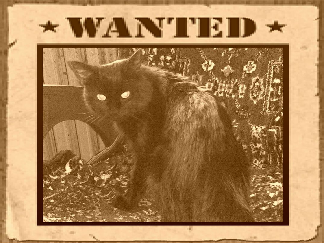 Инна Полфёрова | Фрязино