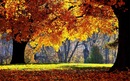 Фотография Свистуновой Катерины