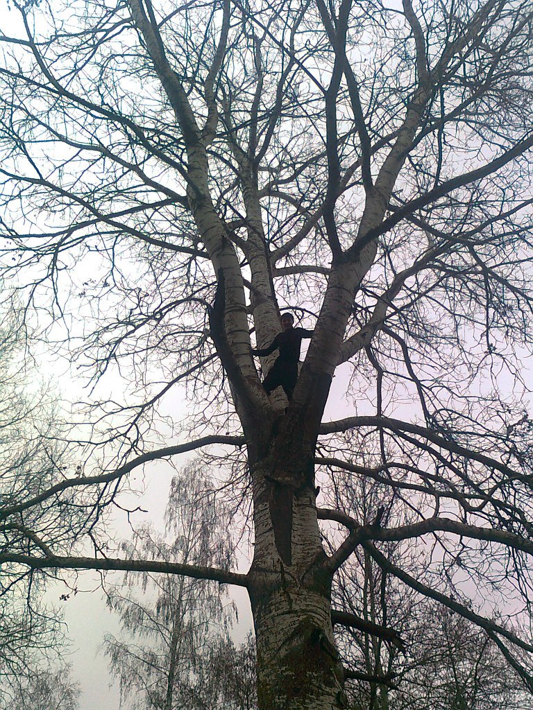 Александр Овсиенко | Чернигов