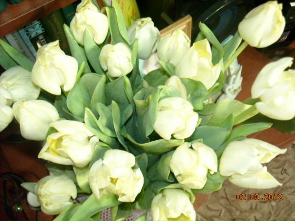 №25, Анна Мустонен, 66 лет, Санкт-Петербург №25, Анна Мустонен, 66 лет, Санкт-Петербург