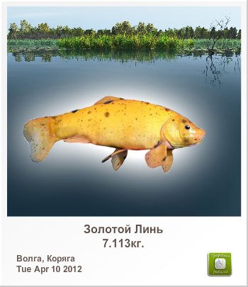 Иван Белозоров | Москва