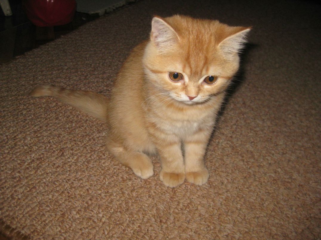 Эльмарт Нигматуллин | Пермь