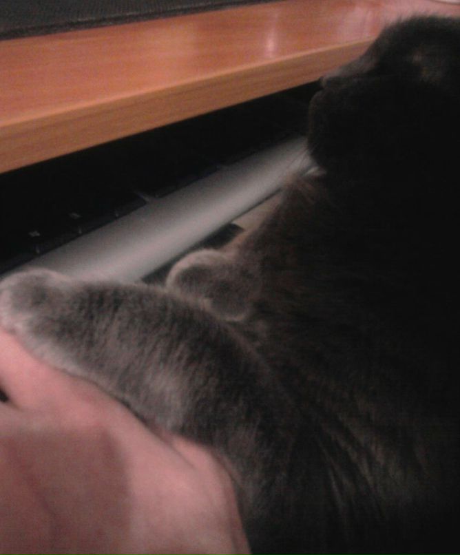 Вячеслав Сучков | Киев