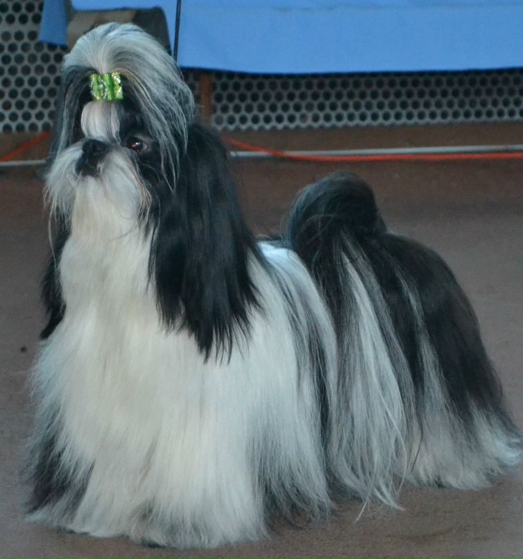 Оля Фартушна | Кривой Рог