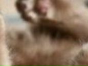 Васька Игнатенко Юрьевич | Харьков