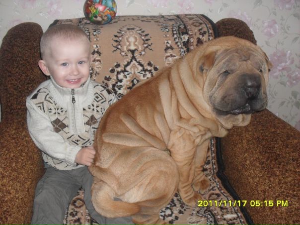 №163, Інна Васильєва, 37 лет, Тернополь №163, Інна Васильєва, 37 лет, Тернополь