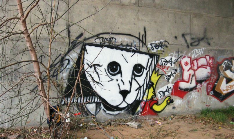 Диман Жадяев 