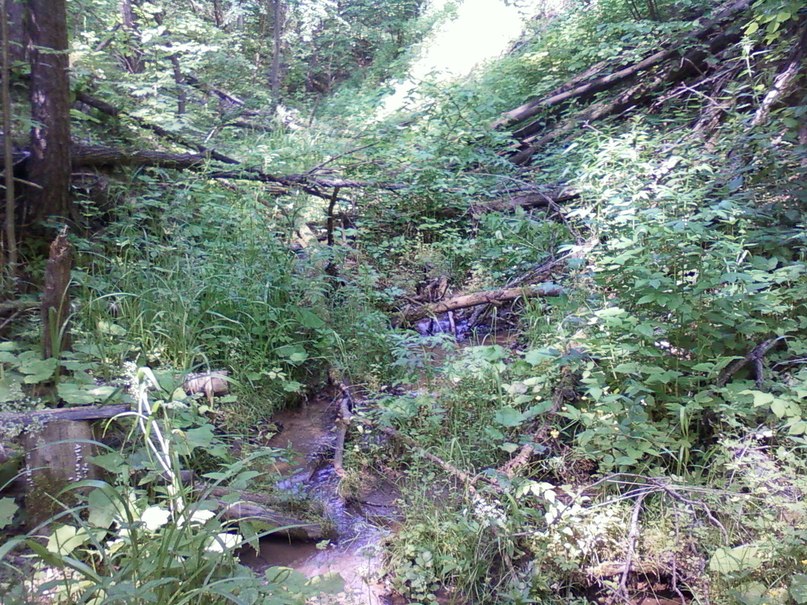 Катюшка Степанова | Чеганда