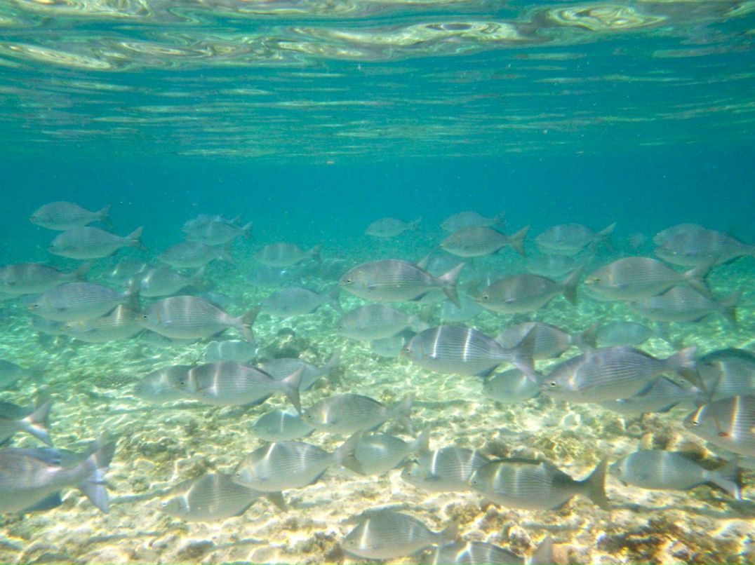 Вера Кондакова | Shenzhen