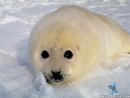 №13 Катя Ларкина : профиль, фото, статус - ВКонтакте