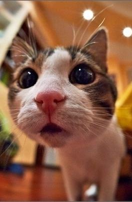 №36, Павел Насенков, Ейск, Россия №36, Павел Насенков, Ейск, Россия