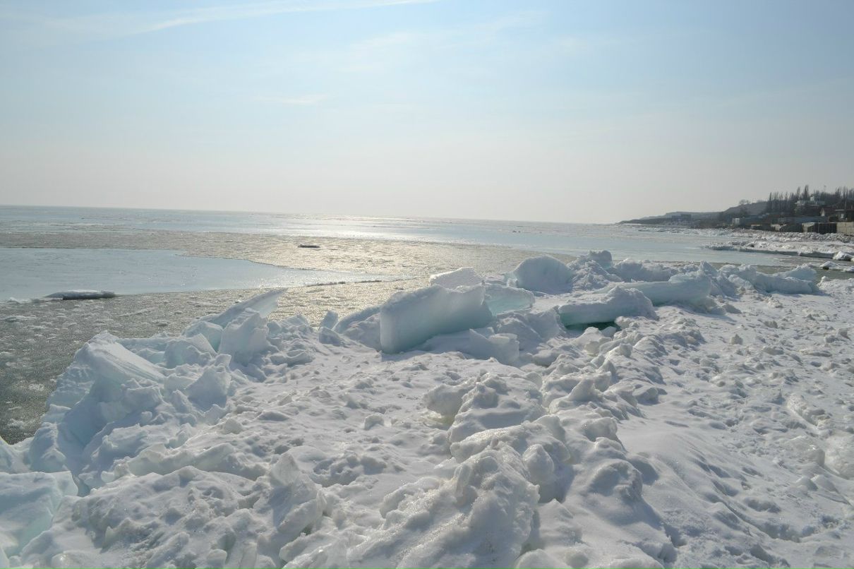 Владимир Киселькевич | Киев