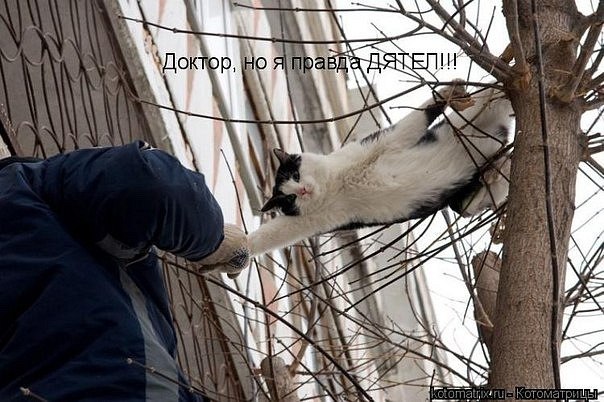 Ольга Пашкова | Киев