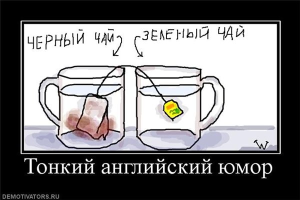 Андрей Сергиенко | Санкт-Петербург