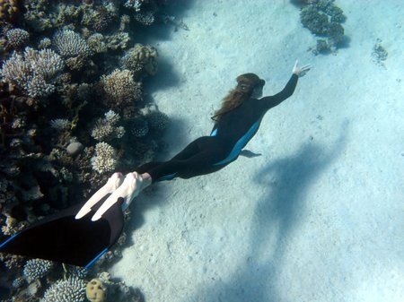 Даша Терра | 