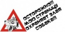 №25 Айгуль Кашина