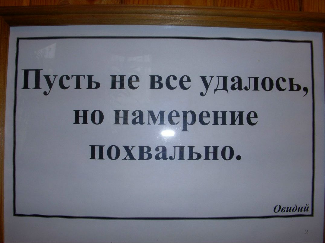 Елена Кольвах | Москва