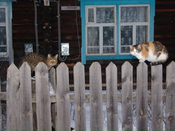 №91, Александра Учайкина, 33 года, Ярославль №91, Александра Учайкина, 33 года, Ярославль