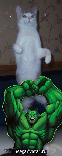 Арслан Алиев ....zver_sabach..... | Киев