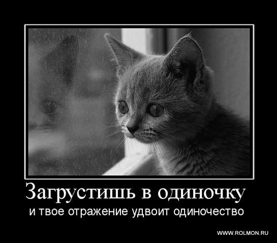 №53, Роман Семеновых, 7.8.1990 №53, Роман Семеновых, 7.8.1990