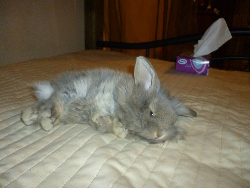 №69, Настя Кадочникова, 39 лет, Краснодар №69, Настя Кадочникова, 39 лет, Краснодар