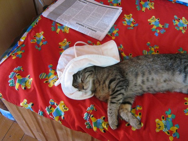 №113, Дарья Соколова, Санкт-Петербург №113, Дарья Соколова, Санкт-Петербург