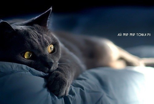 Надюшка Григорьева | Москва