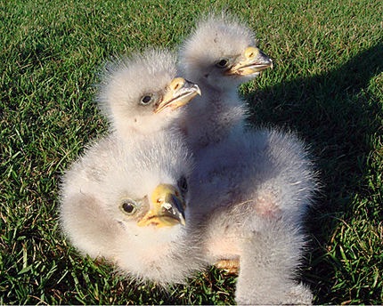 №193, Александра Капитальман, 37 лет, Киев №193, Александра Капитальман, 37 лет, Киев