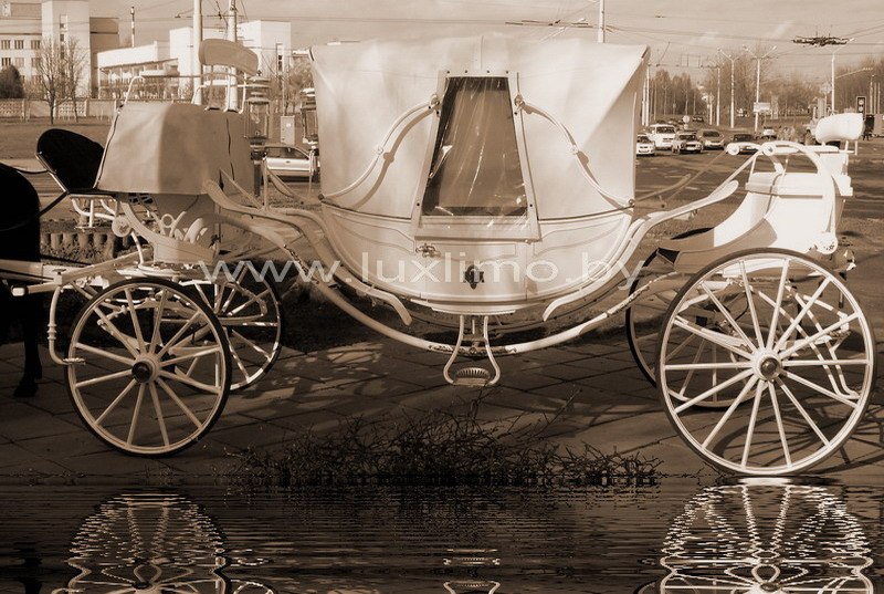 Александр Жолток | Рогачев