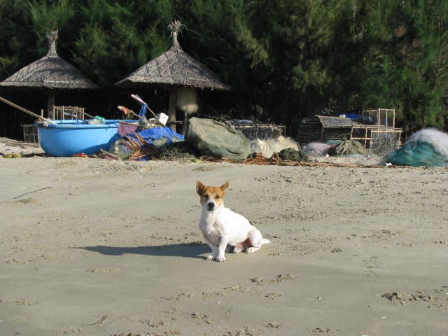 Алексей Богомолов | Кострома