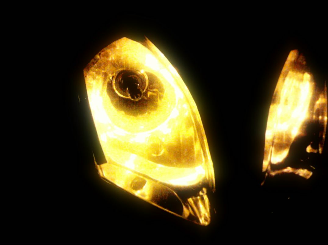 Вася Савчук | Ясеновцы