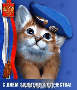 №91, Марина Морская, Petrovac na Moru №91, Марина Морская, Petrovac na Moru