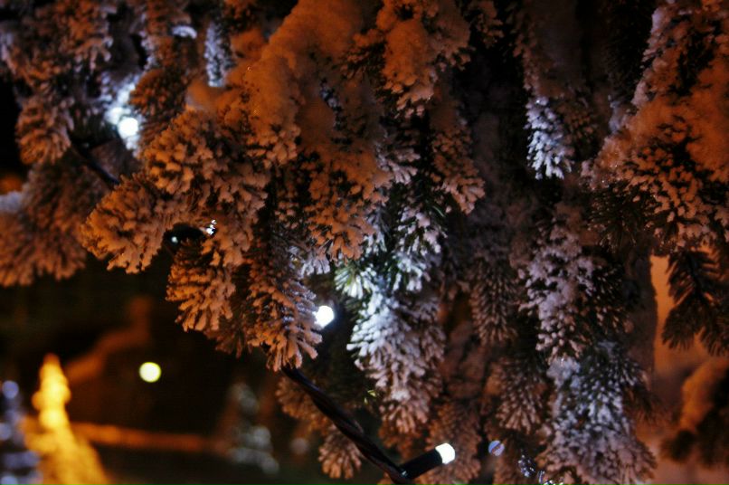 Андрей Антипов | Москва