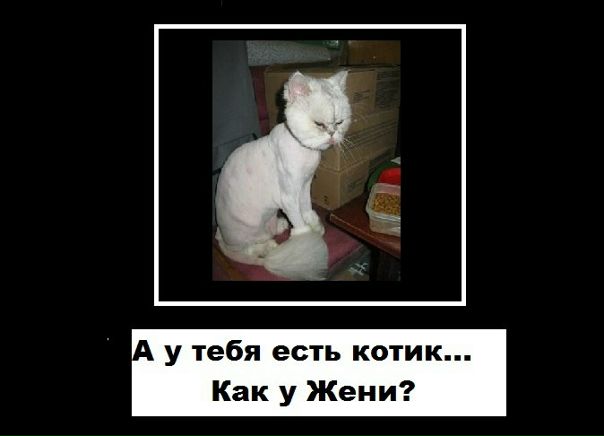 №79, Евгений Лунин, 35 лет, Санкт-Петербург №79, Евгений Лунин, 35 лет, Санкт-Петербург