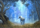 Фотография Борисовой Светланы